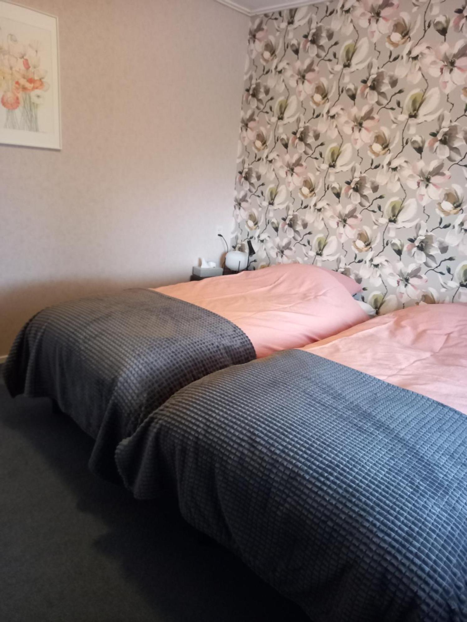 B&B Kleintje Eleveld Екстер'єр фото