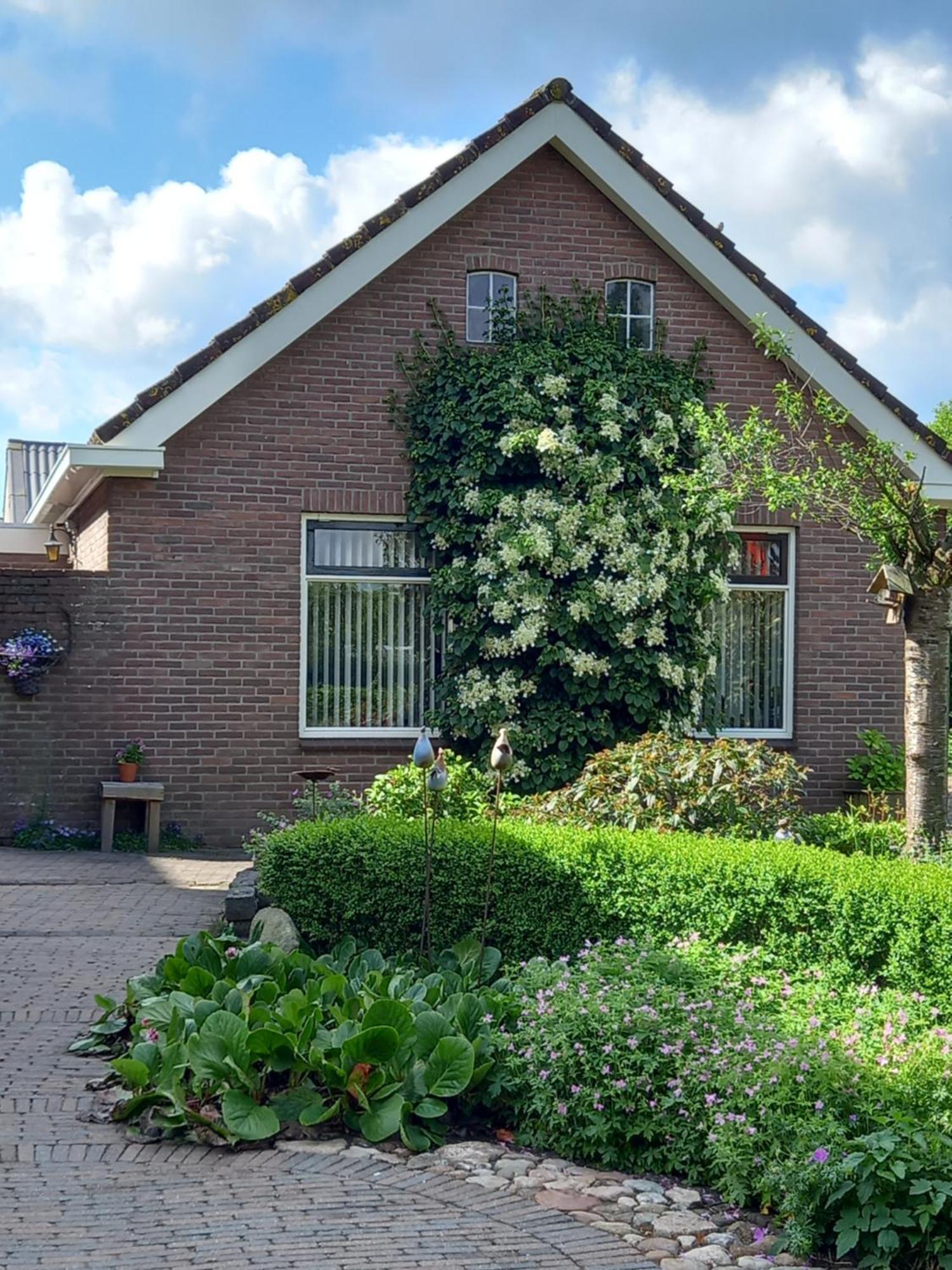B&B Kleintje Eleveld Екстер'єр фото